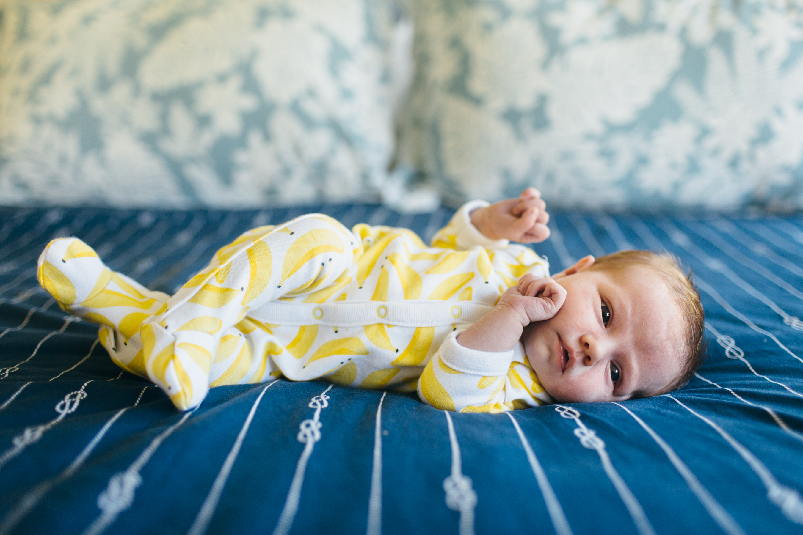 cairns lifestyle newborn photography