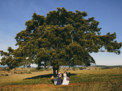 Carly & George {Mt Quincan Retreat Wedding, Yungaburra}